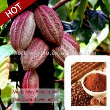 Organic Cocoa Extract,Theobromine: 10%