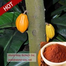 High Quality Low Price Cocoa Extract