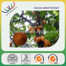 GMP factory free sample organic 100% pure top quality 10% Theobromine cocoa seed extract