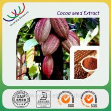 GMP factory making pure cocoa seed extract,cacao seed extract cacao polyphenols