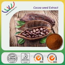 GMP factory supply 100% natrual cacao extract powder