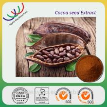 China GMP factory supplier high quality cocoa extract/ pure natural theobromine cocoa extract