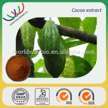 Hot sales Chinese herb extract high quality 40% polyphenols cocoa seed