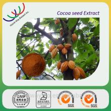 Food grade Loss weight Changsha GMP factory supply 10% theobromine theobroma cacao extract powder
