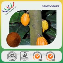 China Herbal extract Leading supplier cocoa extract/ cocoa seeds extract/cocoa bean polyphenols