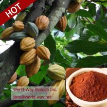 High quality Cocoa seed extract powder(p.e)10% theobromine