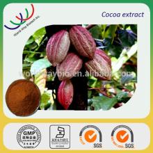 Top Quality 10% Theobromine Cocoa Extract cocoa seed powder natural polyphenol