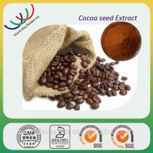 Hot 2014 competitive price cocoa seed extract powder/coca polyphenols 40% powder/cocoa polyphenols g