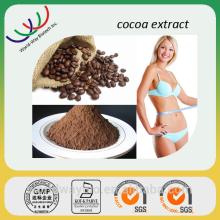 Hot 2014 competitive price cocoa seed extract powder/coca powder/Cocoa bean extract Catechin