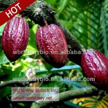 organic HACCP cocoa powder extract 10% theobromine