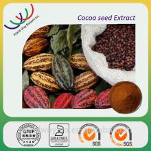 China GMP factory supplier high quality pure cocoa p.e cocoa extract powder