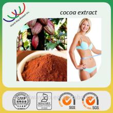 GMP KOSHER HACCP Certified best quality cocoa seed extract 10% theobromine polyphenols 40% cocoa ext