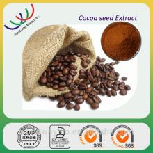 China Herbal extract Leading supplier  cocoa  extract/ cocoa  seeds polyphenols/ wholesale   cocoa   powder 