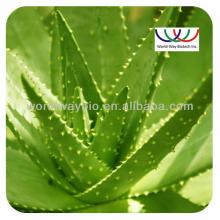 High quality 100% natural aloe  extract   aloin 