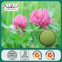 natural estrogen Red clover p.e. isoflavones 8%-40% HPLC red clover extract