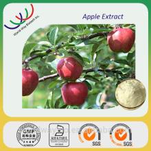 China supplier hot sale 100% natural apple root bark phloridzin, apple phlorizin,95% phlorizin Apple