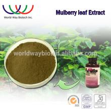 Free sample FDA HACCP China factory natural herbal medicin Mulberry Leaf Extract 1-DNJ/ DNJ Mulberry