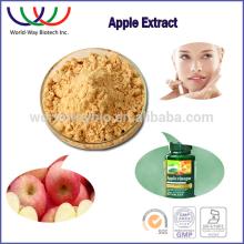 apple polyphenol free sample for trial HACCP FDA KOF-K China supplier antioxidant plant extract app