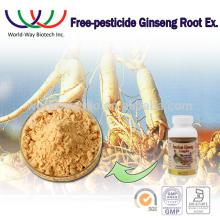 panax ginseng extract FDA KOSHER HACCP China free pesticides herbal medecine panax Ginseng extract