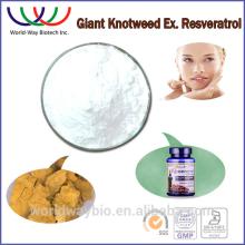 resveratrol polygonum cuspidatum root extract,anti-oxidant giant knotweed powder resveratrol,giant k