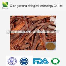 Cinnamon Bark Extract cinnamaldehyde 5%