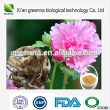 Althaea Rosea Extract, Marshmallow Root Extract, Althea Officinalis Root Extract
