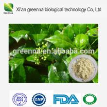 Dihydromyricetin Powder 98% CAS: 27200-12-0
