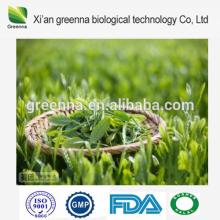Green Tea Extract EGCG powder