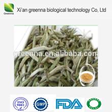 Instant  White   Tea   Powder ,  White   Tea  Leaf Extract  Powder ,  White   Tea   Powder 
