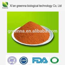 Cocoa seed extract powder