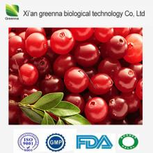 Cranberry Extract powder
