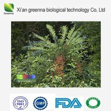 Tongkat Ali Extract powder