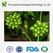 Green Coffee Bean Extract