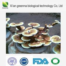 Ganoderma Extract Polysaccharide 50%