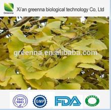 Ginkgo Biloba Extract flavone Ginkgolides CAS: 90045-36-6
