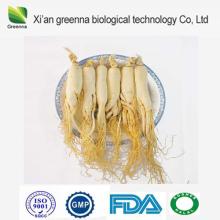 Ginseng Extract Powder