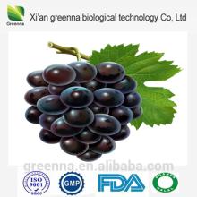  Grape   Seed   Extract   Powder 