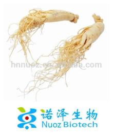 50% UV & HPLC Natural Panax Ginseng Root Extract Powder /1%-80% Ginsenoside/Factory Supply organic g