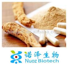 50% UV & HPLC Natural Panax Ginseng Root Extract Powder/ 1%-80% HPLC Ginsenoside/Factory Supply orga