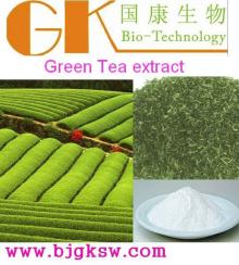 Hot! Natural Green tea extract Epicatechin;ECCAS Number: 490-46-0