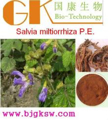 Salvia miltiorrhiza P.E. Extract 5:1 Salvia Miltiorrhiza Bge