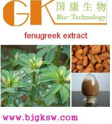 fenugreek 10:1 L-4-Hydroxyisoleucine Fenugreek Extract Powder