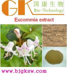 Eucommia Extract 15:1 Chlorogenic Acid Cortex Eucommiae