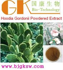 Hoodia Gordonii Powdered Extract  Flavone   glycosides 