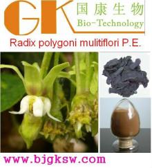 Emodin,Radix polygoni mulitiflori P.E. Extract Powder