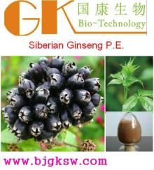 Siberian Ginseng P.E. Extract 10:1 Eleutheroside(B+E)