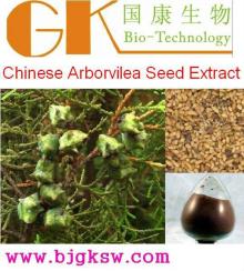 Chinese Arborvilea Seed Extract,Saponins,Platycladi Seed P.e