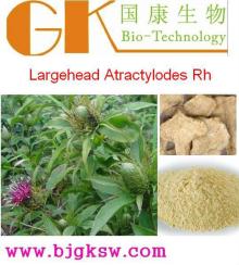 8007-04-3,Largehead Atractylodes Rh Extract,Atractylon