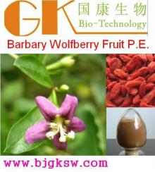 Barbary Wolfberry Fruit Extract,Lycium barbarum polysaccharides
