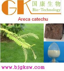 Areca catechu Extract Powder 30:1 Catechu extract Powder